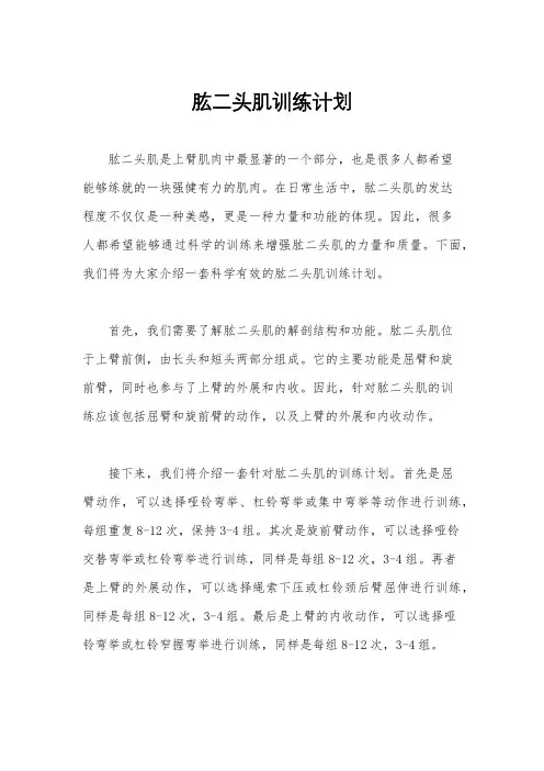 肱二头肌训练计划