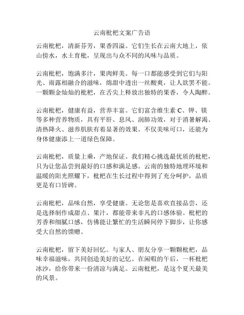 云南枇杷文案广告语