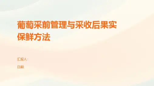 葡萄采前管理与采收后果实保鲜方法