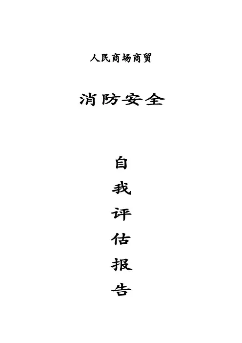 2017年消防安全评估报告文书