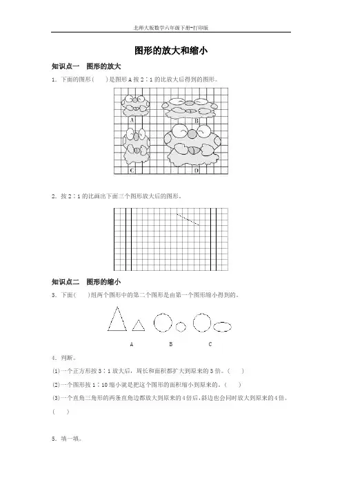 北师版数学六年级下册-《图形的放大和缩小》优选习题