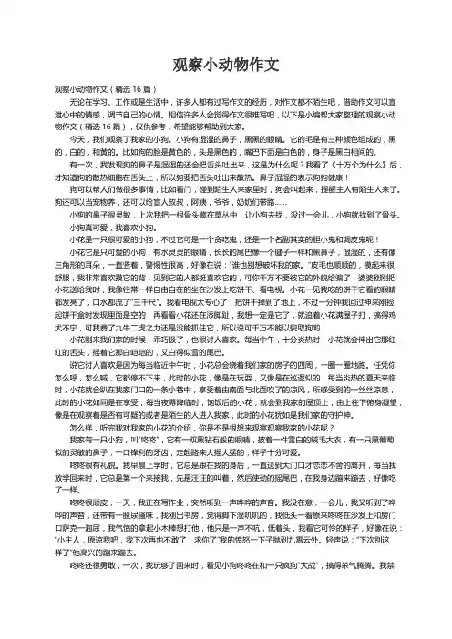 观察小动物作文（精选16篇）