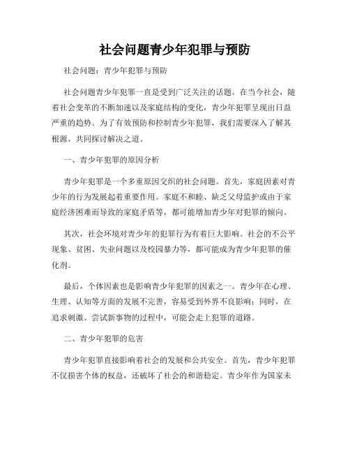 社会问题青少年犯罪与预防