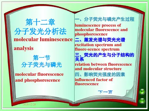 分子发光分析jPPT课件