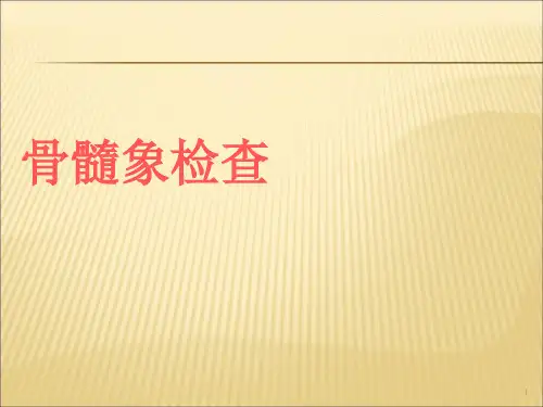 骨髓象检查