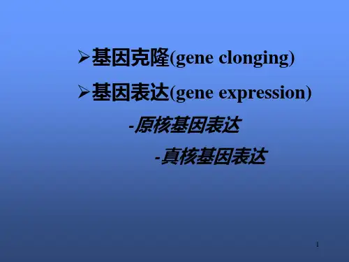 基因克隆原核表达