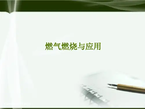 燃烧燃气与应用一