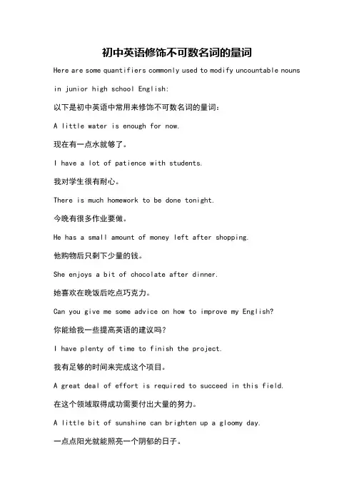 初中英语修饰不可数名词的量词