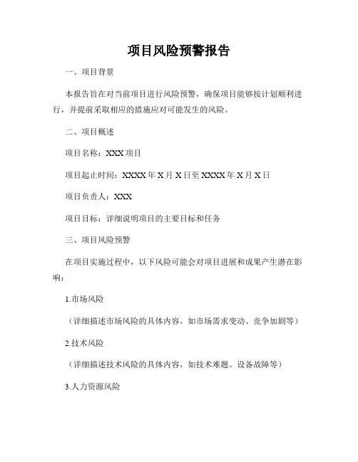 项目风险预警报告