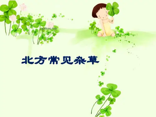 有害生物第一部分：杂草1附图(北方杂草识别：按科分类)