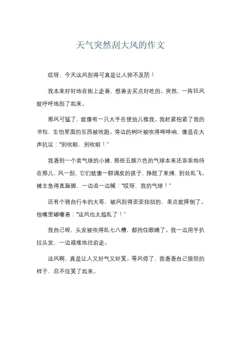 天气突然刮大风的作文