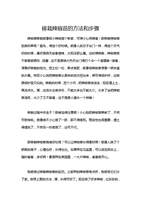 移栽辣椒苗的方法和步骤