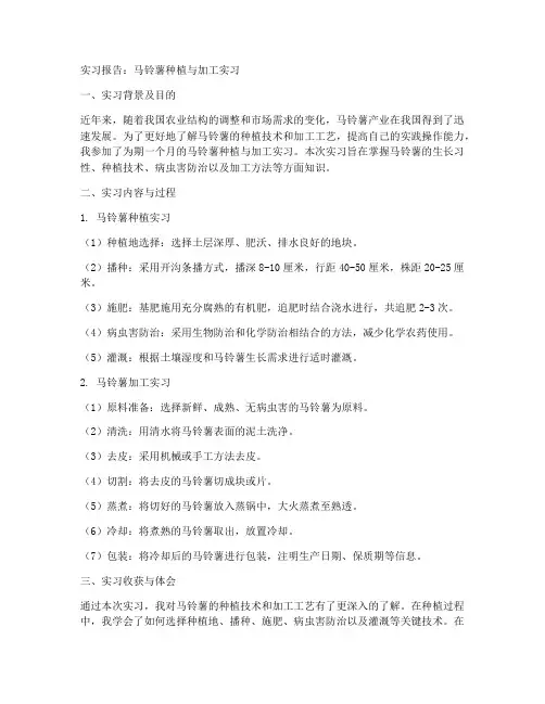 马铃薯实习报告