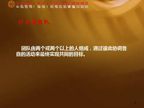 打造优秀团队(PPT 页)