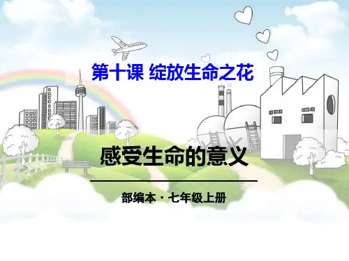《感受生命的意义》PPT 图文