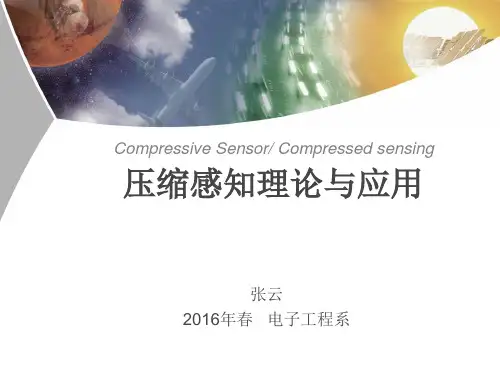 压缩感知仿真报告要求