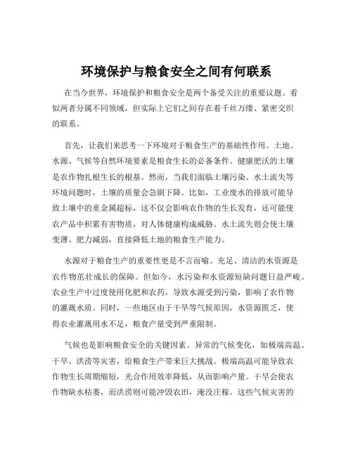 环境保护与粮食安全之间有何联系