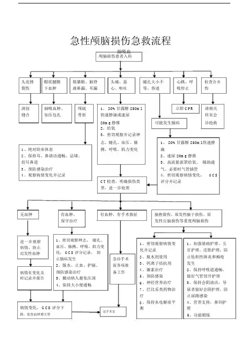 急性颅脑损伤急救流程.doc