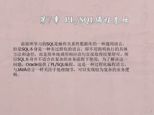 PLSQL编程基础ppt课件