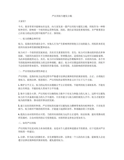 严以用权专题发言稿