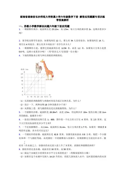 湖南省湖南省长沙师范大学附属小学六年级数学下册 解答应用题题专项训练带答案解析