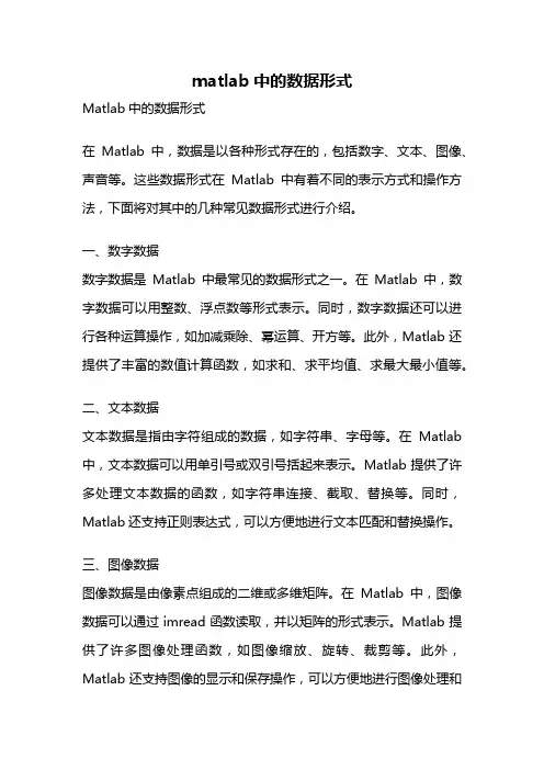 matlab中的数据形式