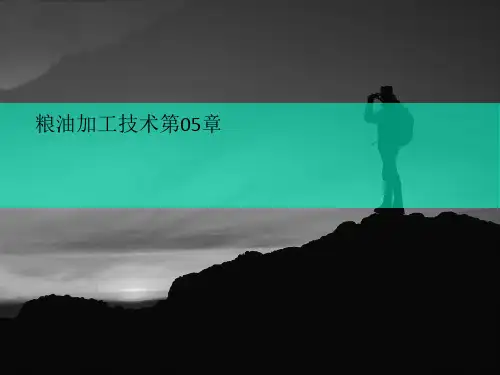 粮油加工技讲义术第05章