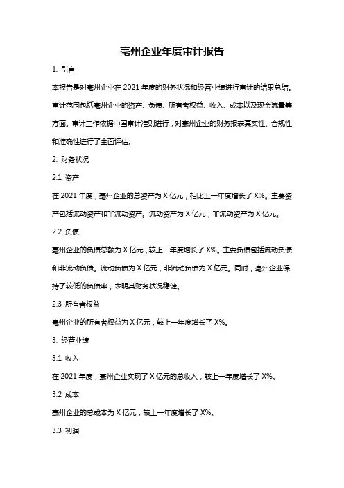 亳州企业年度审计报告