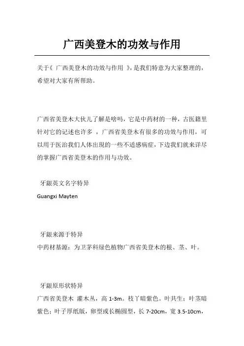 广西美登木的功效与作用