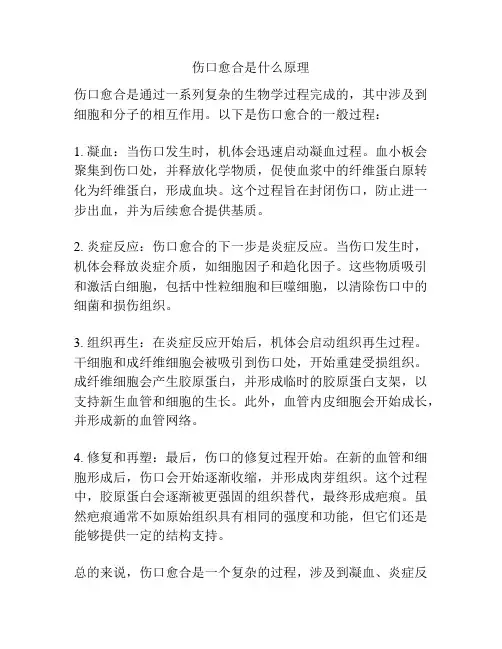 伤口愈合是什么原理