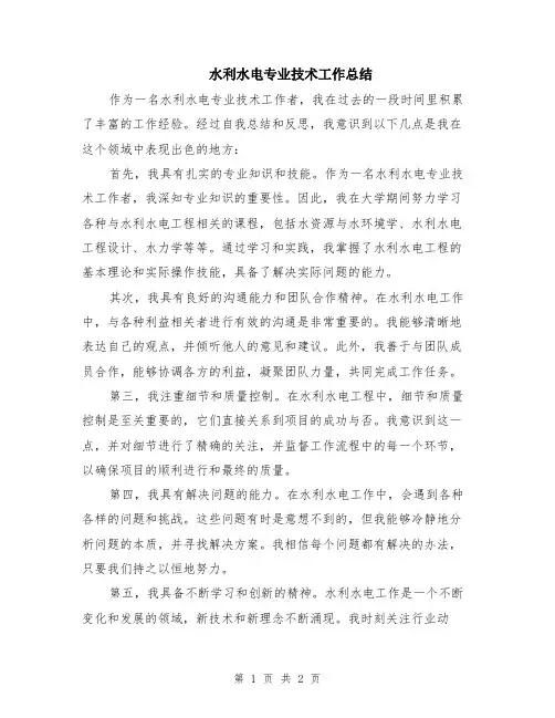 水利水电专业技术工作总结