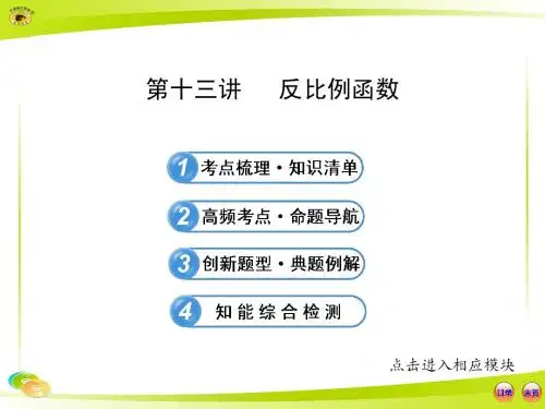 第13讲 反比例函数