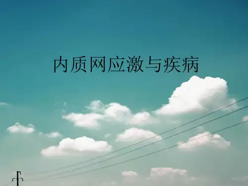 内质网应激与疾病