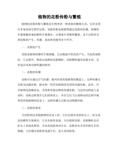 植物的花粉传粉与繁殖