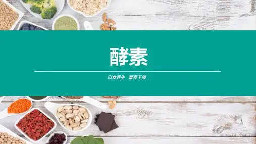 酵素专业知识