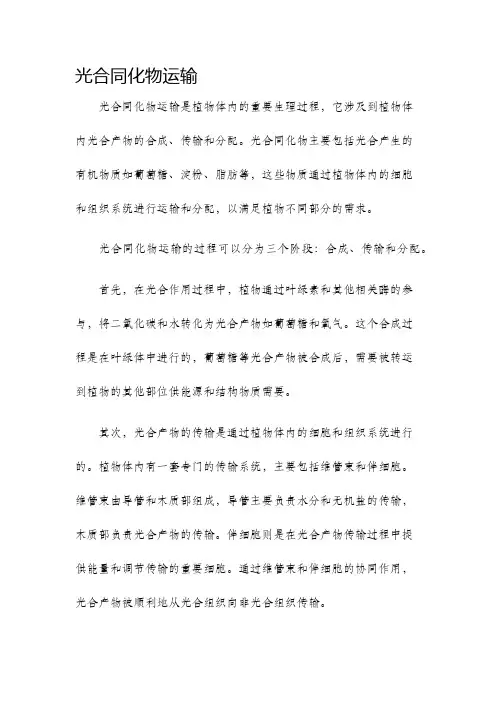光合同化物运输