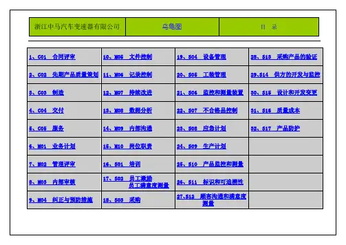 中马过程识别乌龟图