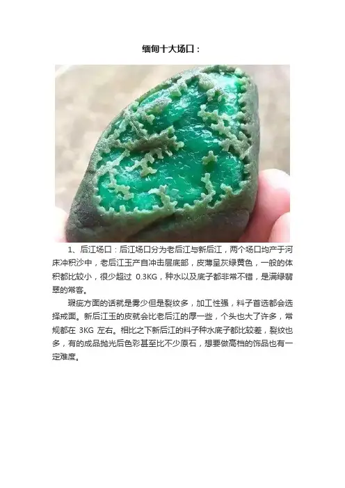 缅甸十大场口：