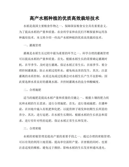 高产水稻种植的优质高效栽培技术