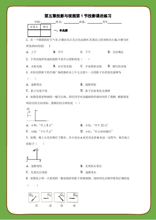 北师大版九年级数学上册第五章投影与视图第1节投影课后练习