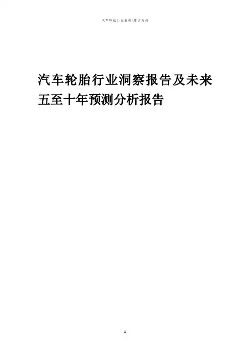 2023年汽车轮胎行业洞察报告及未来五至十年预测分析报告