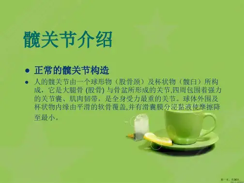 髋关节置换术(THR)