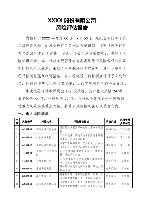 风险评估报告