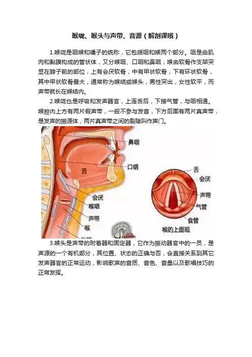 喉咙、喉头与声带、音源（解剖课哦）