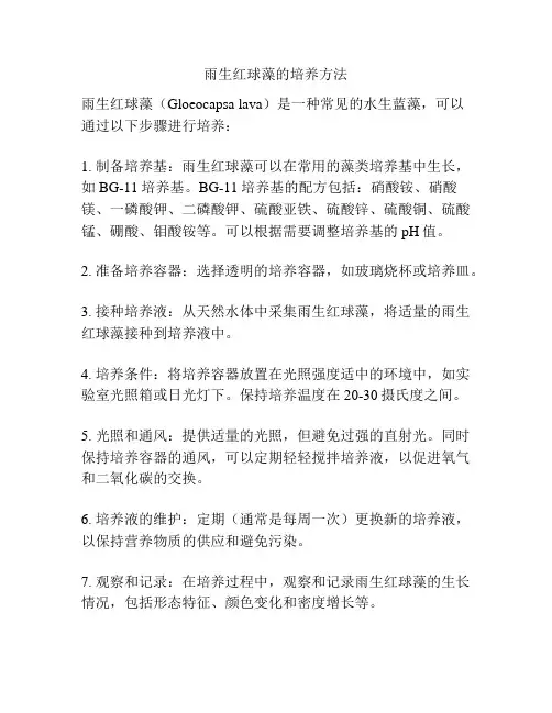 雨生红球藻的培养方法