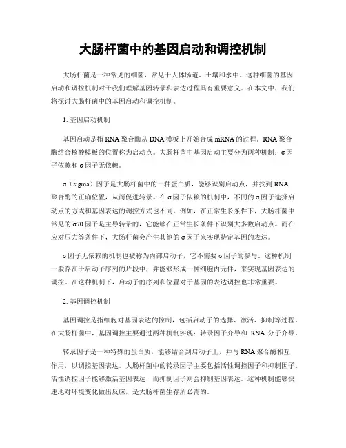 大肠杆菌中的基因启动和调控机制