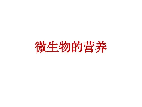 微生物的营养