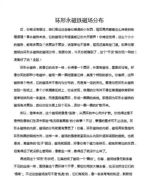 环形永磁铁磁场分布