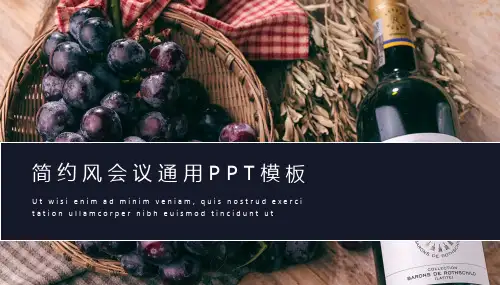 简约风会议通用PPT模板