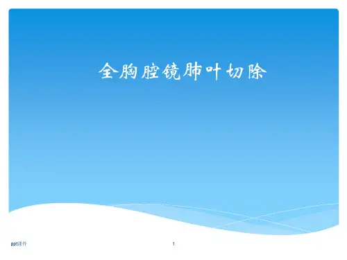 全胸腔镜肺叶切除术  ppt课件